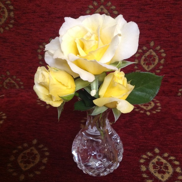 Meet your Posher, Jan - Picture 1 of 1